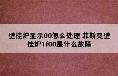 壁挂炉显示00怎么处理 菲斯曼壁挂炉1f00是什么故障